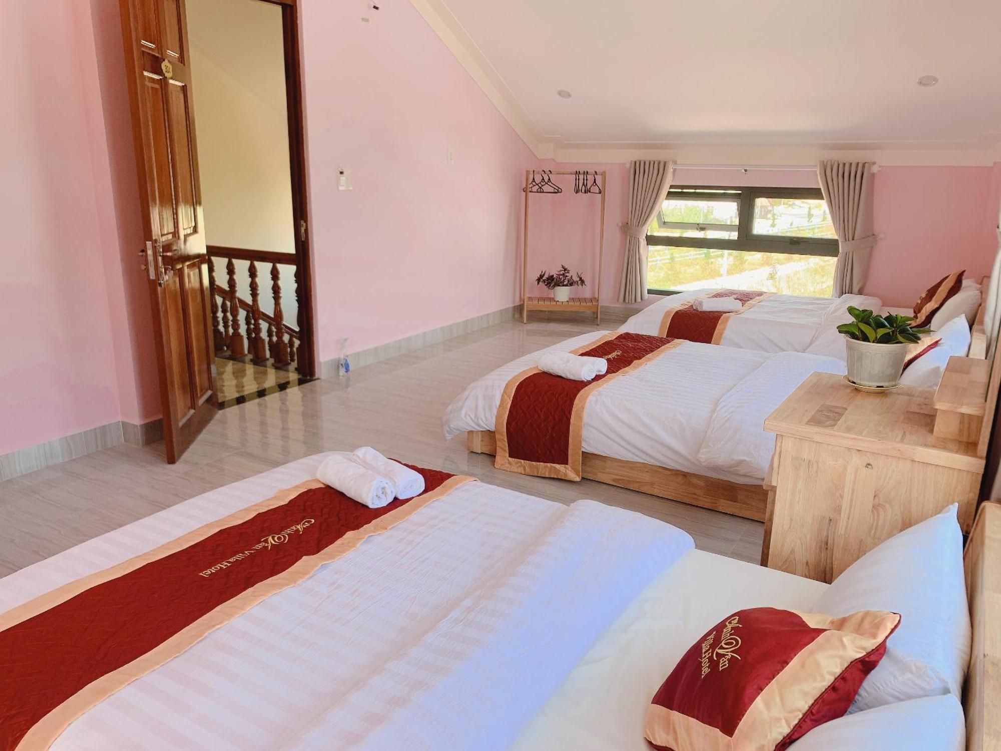 Ánh Vân Villa hotel Đà Lạt Ngoại thất bức ảnh